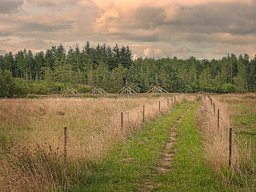 IMGP6098-1_Kig til Soederby Spang Borris